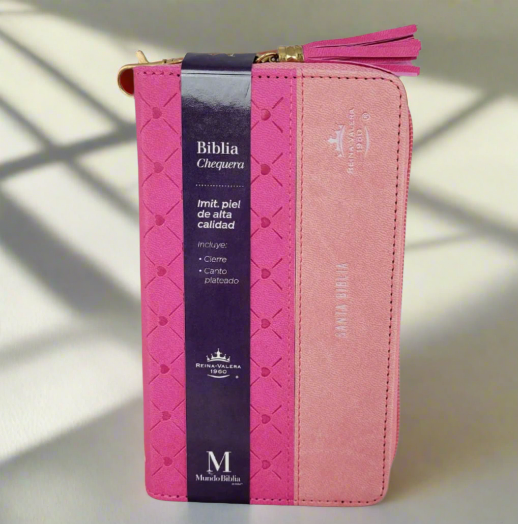 Biblias tipo Chequeras/ Checkbook Bible