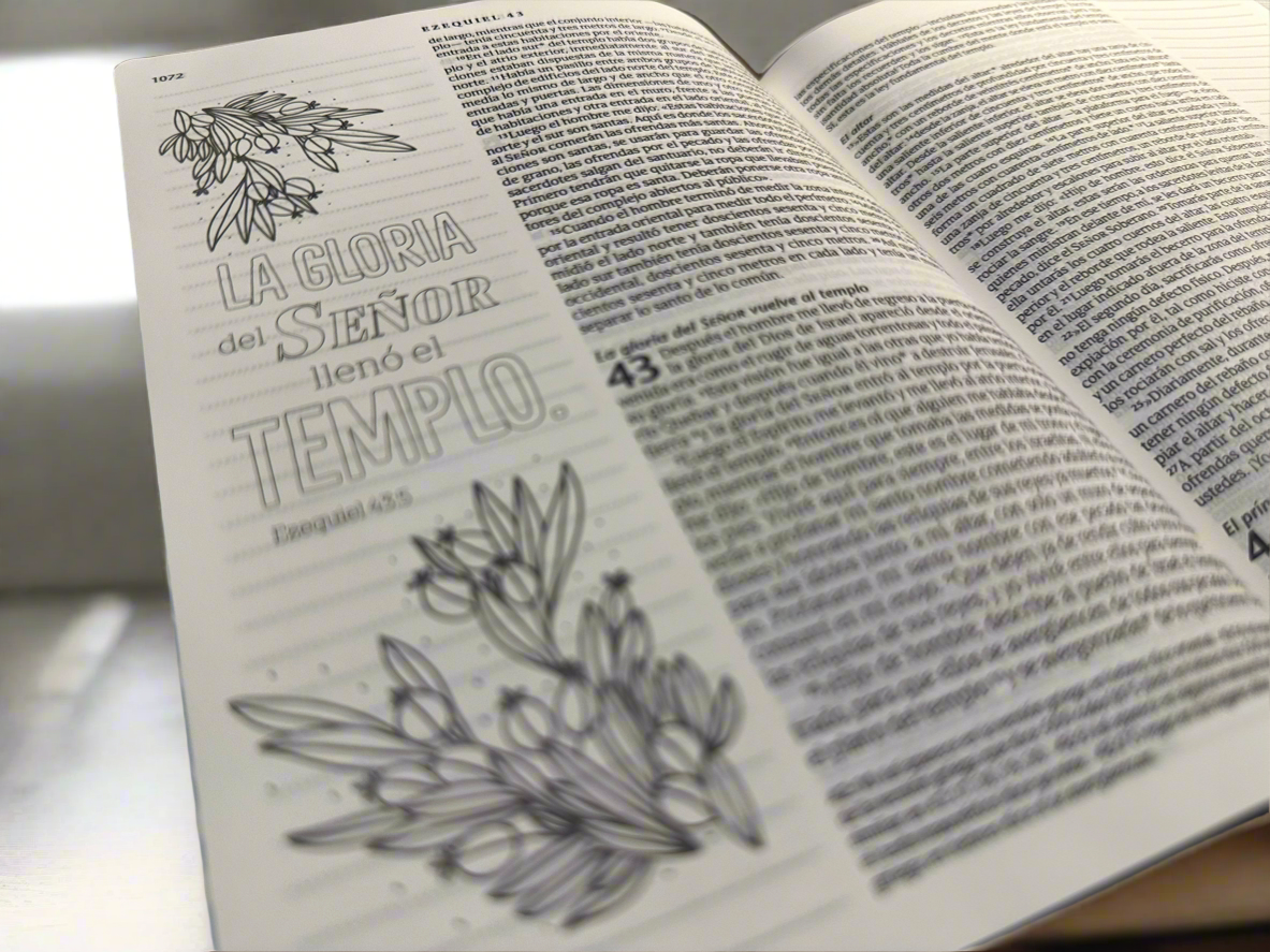 Biblia Inspira
