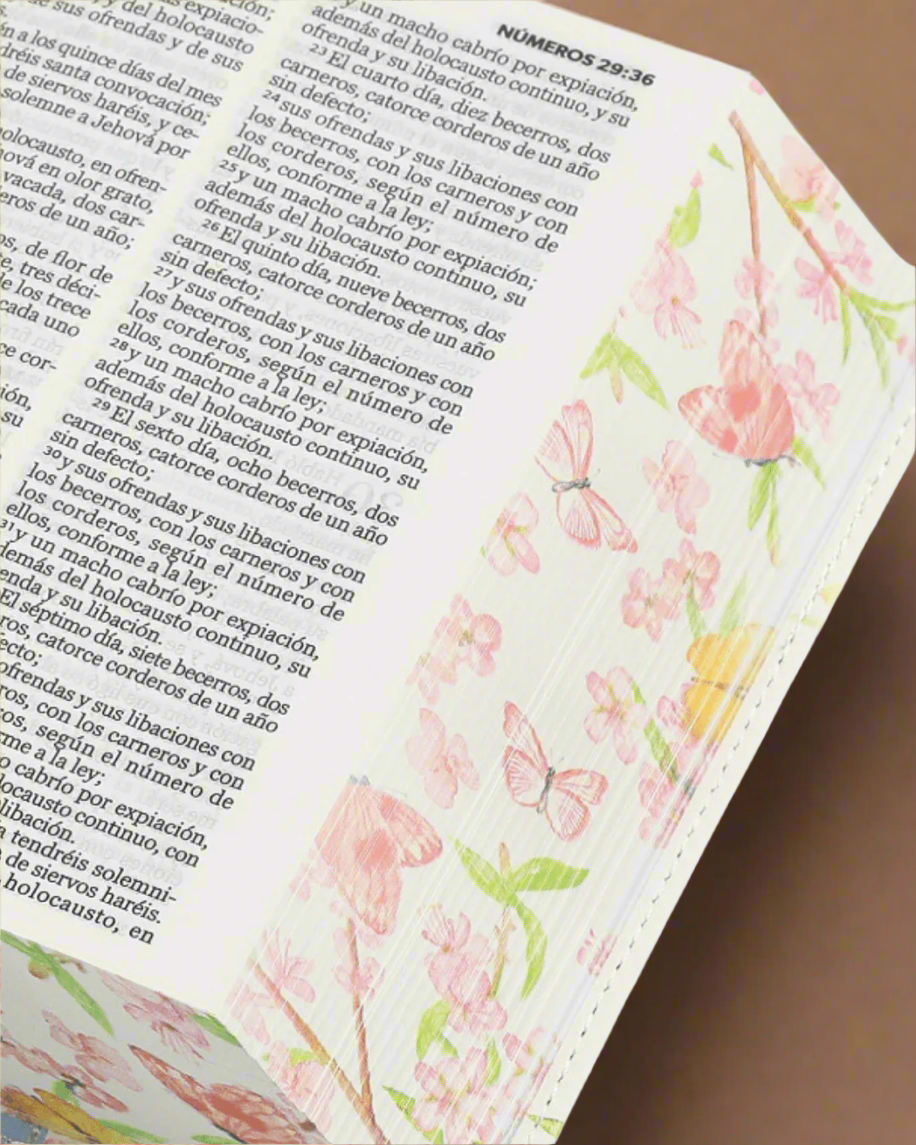 Biblias RV60 Tamaño Bolsillo