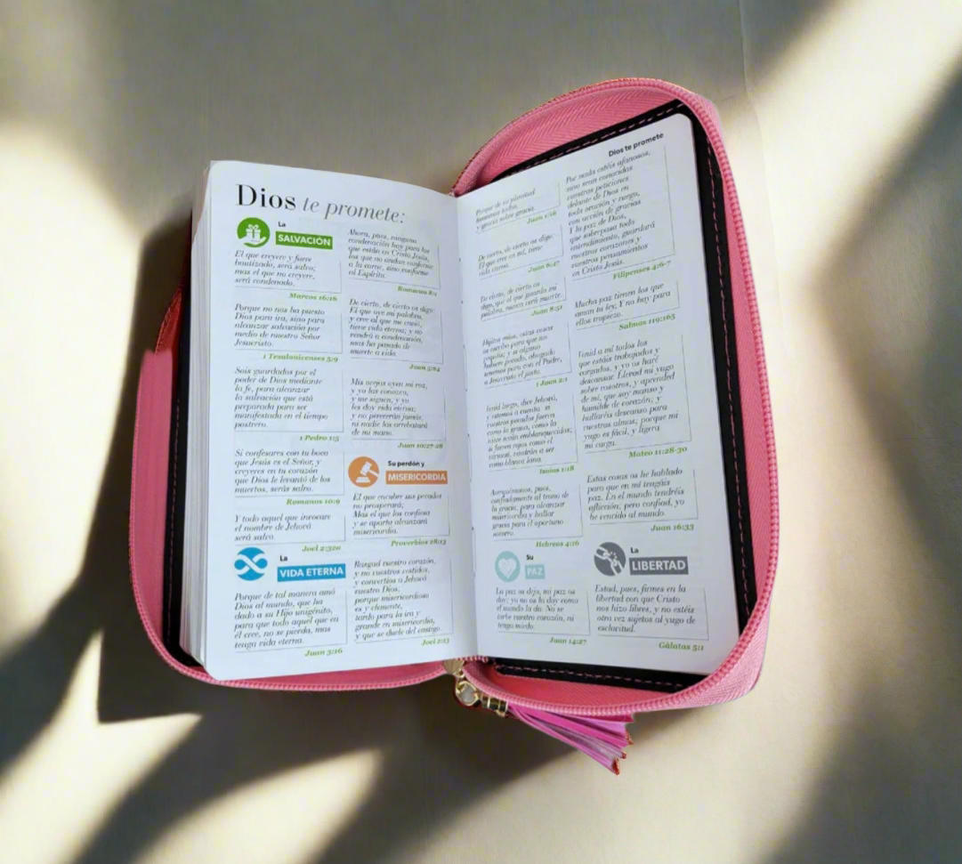 Biblias tipo Chequeras/ Checkbook Bible