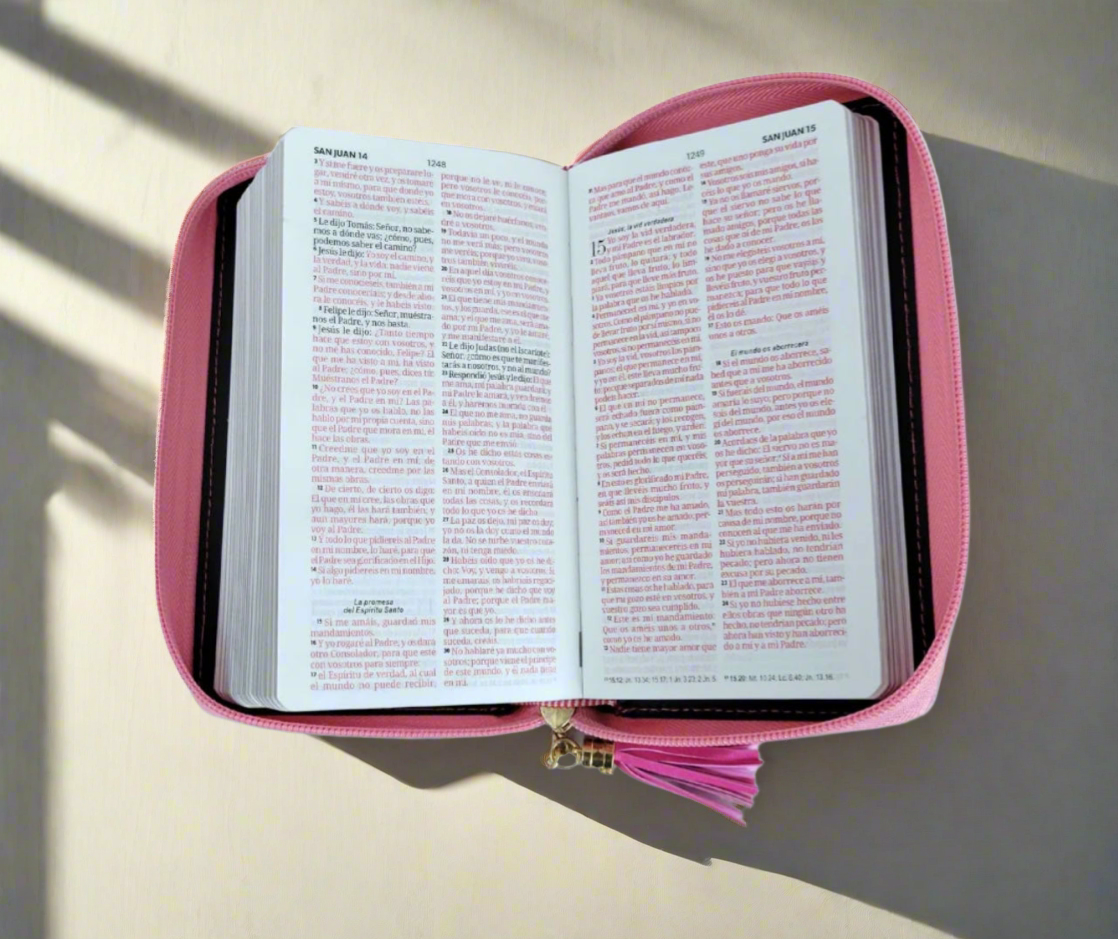 Biblias tipo Chequeras/ Checkbook Bible