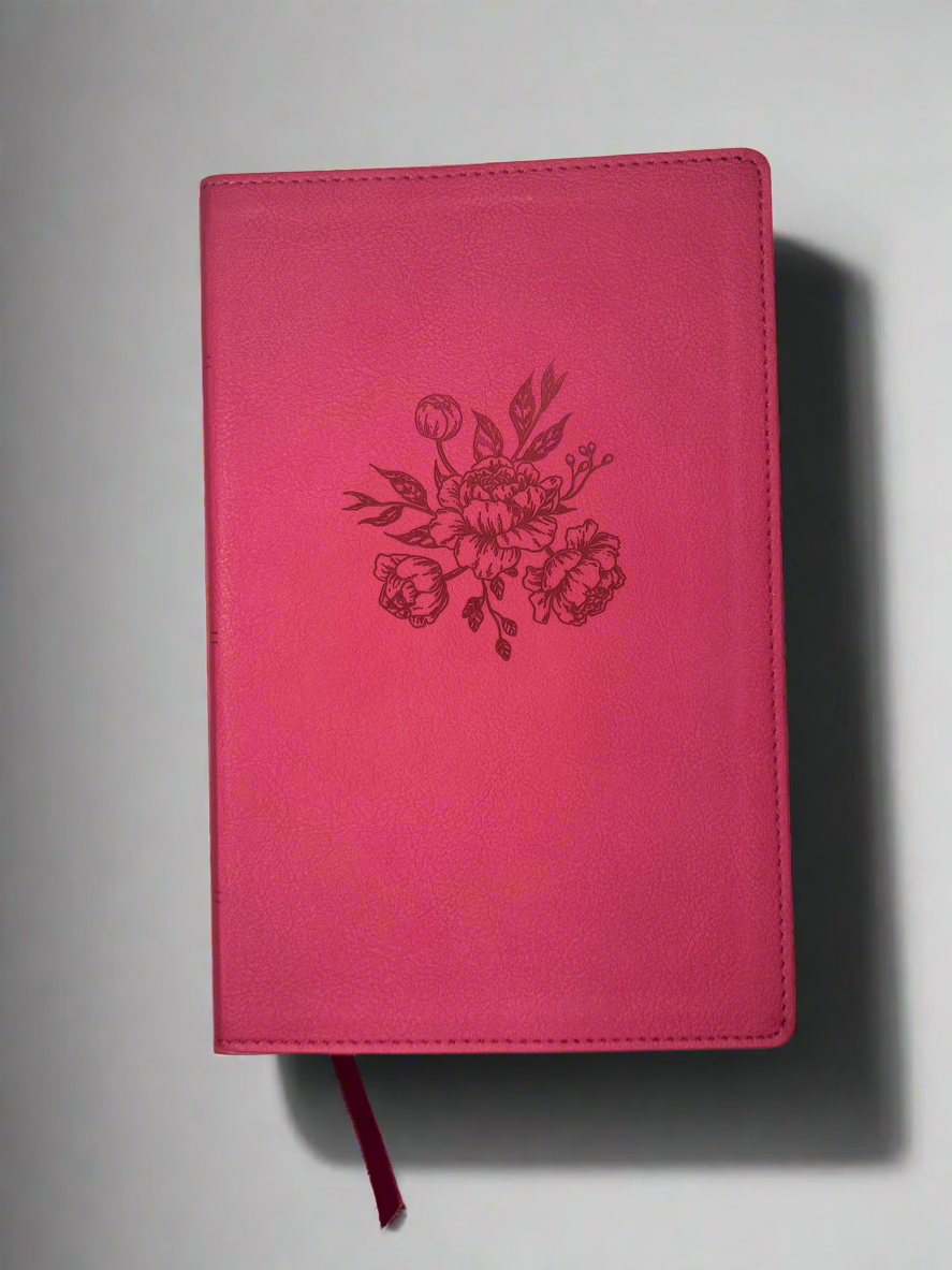 Biblia de la Mamá Ocupada