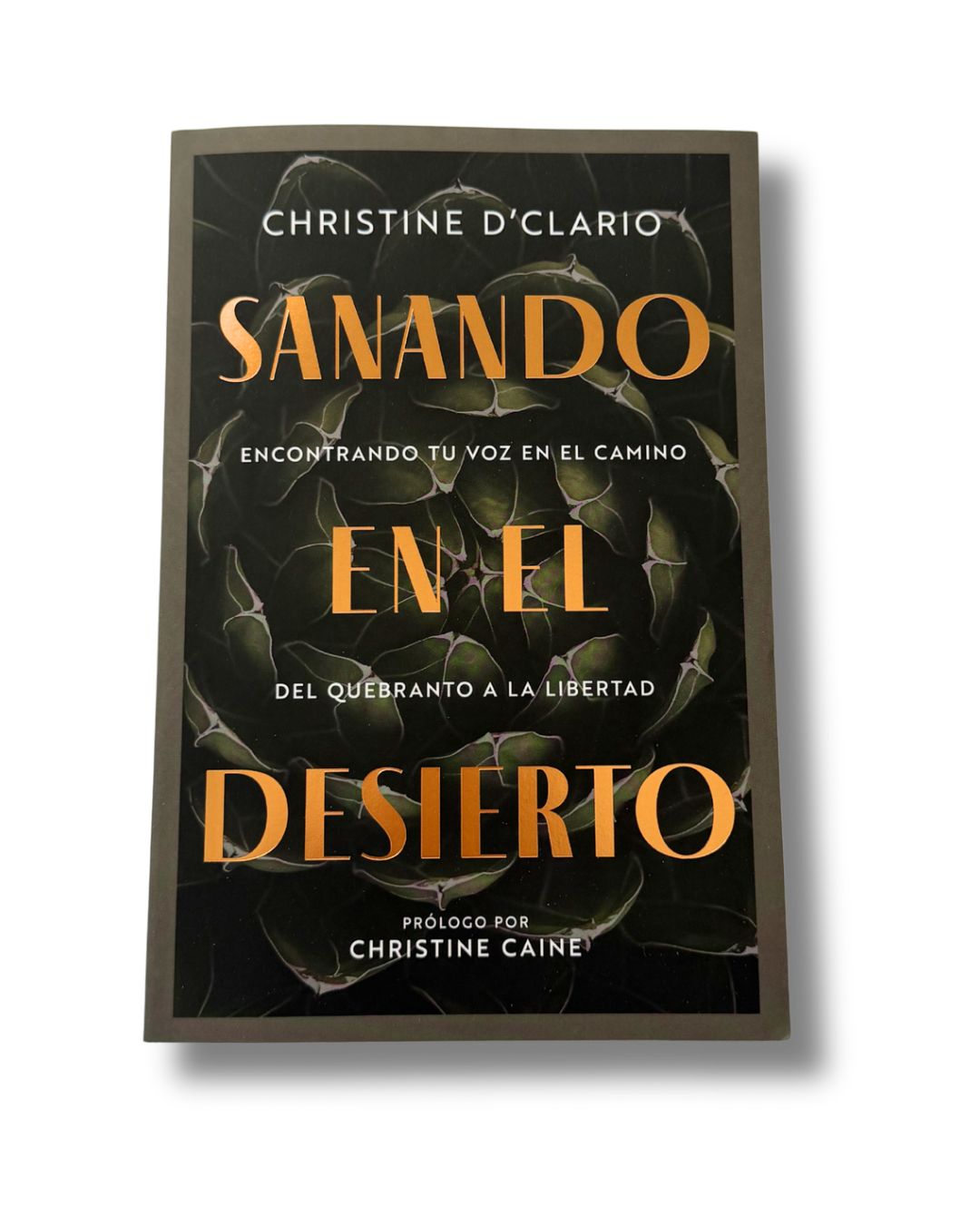 Sanando en el Desierto: Encontrando Tú Voz en el Camino del Quebranto a la Libertad | Christine D'Clario