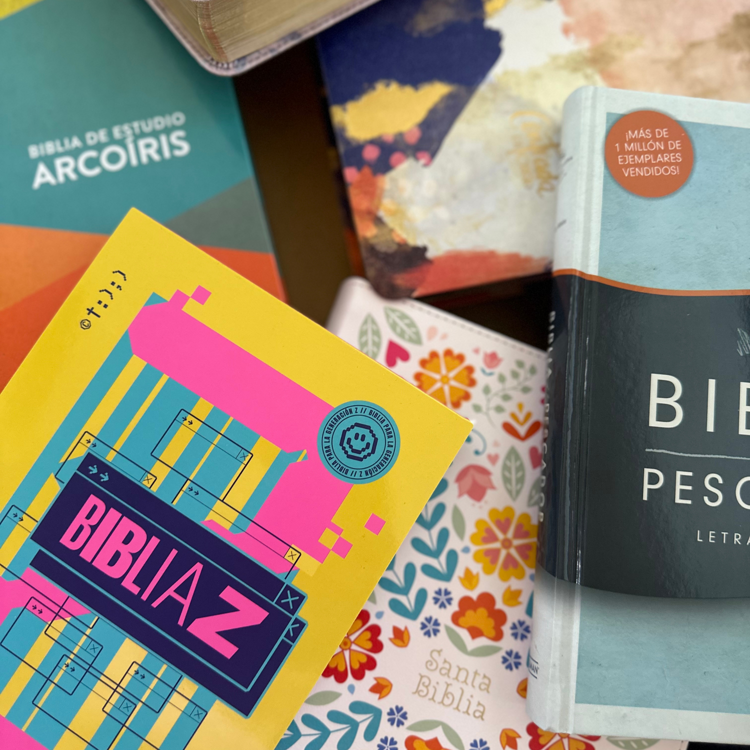 Biblias/ Bibles