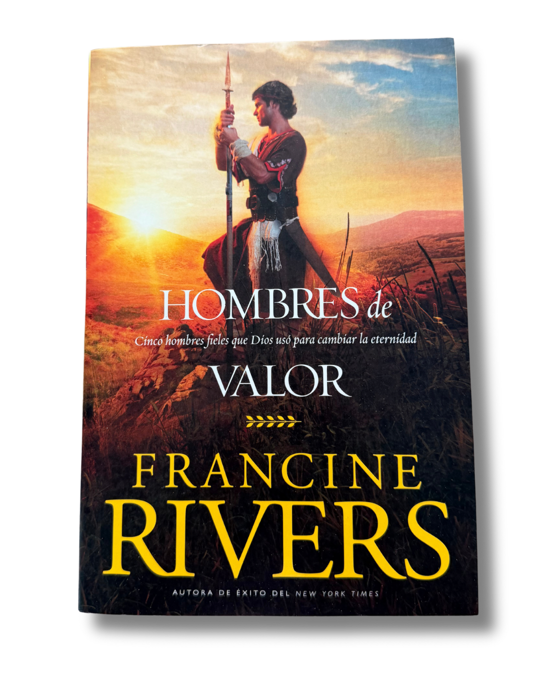 Hombres de Valor: Cinco Hombres Fieles Que Dios Usó para Cambiar la Eternidad | Francine Rivers
