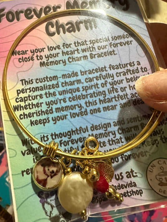 Forever Memory Charm