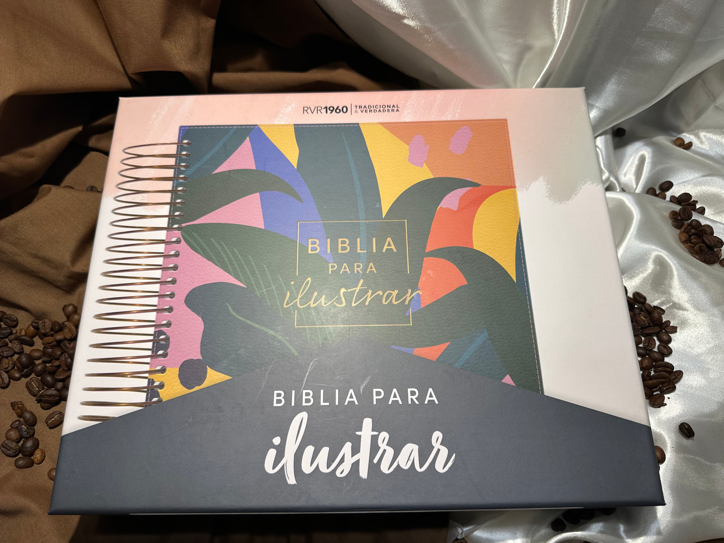 Biblia para Ilustrar